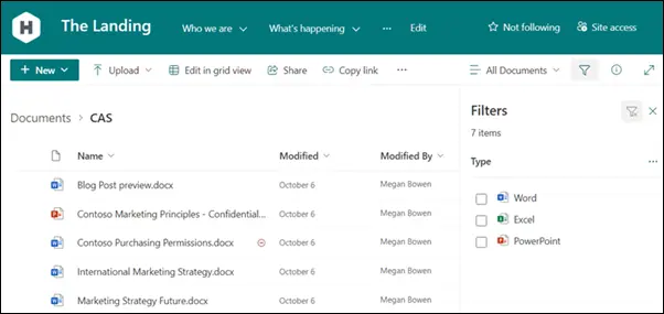 SharePoint document library showing team files, sharing controls and file-type filters