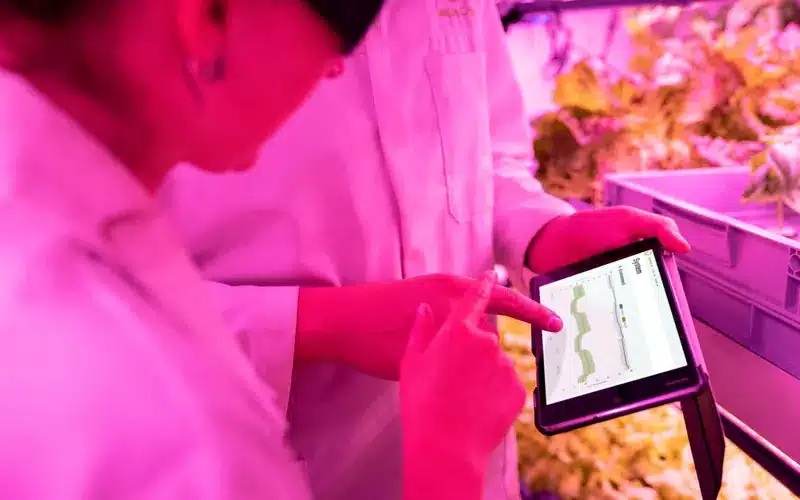 Agricultural technology specialists reviewing crop data on tablets