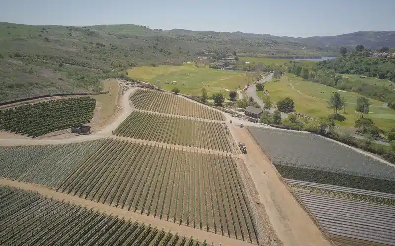 Aerial view of agricultural properties and fields across a rural landscape